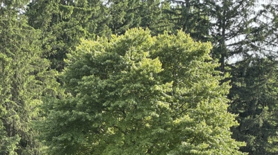 Rochester Rotary Photo